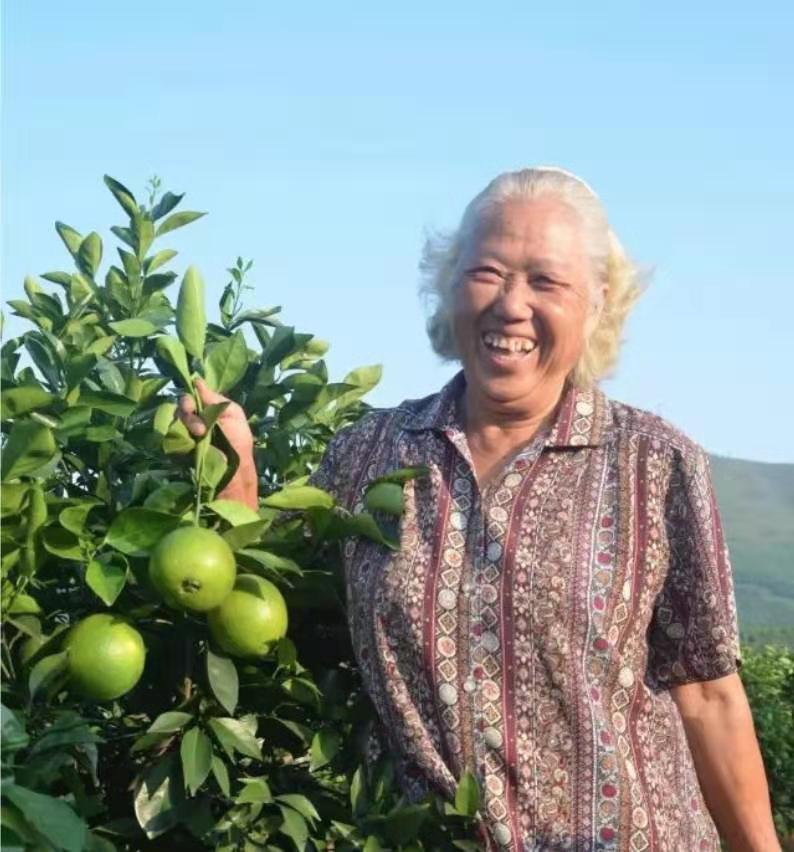 76歲仍在專研自然農法 要種出世界特別好吃的橙子